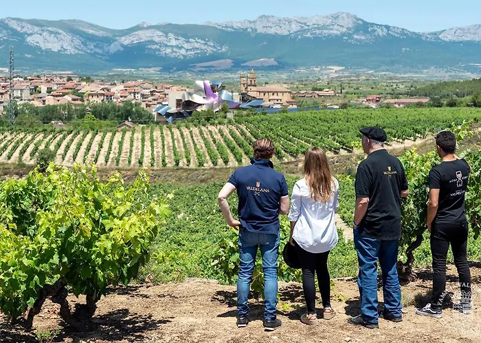 Valdelana Casa rural Elciego