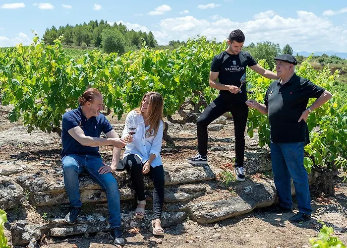 Casa rural Valdelana Elciego